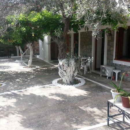 Willa Olive Trees Poros Town Zewnętrze zdjęcie