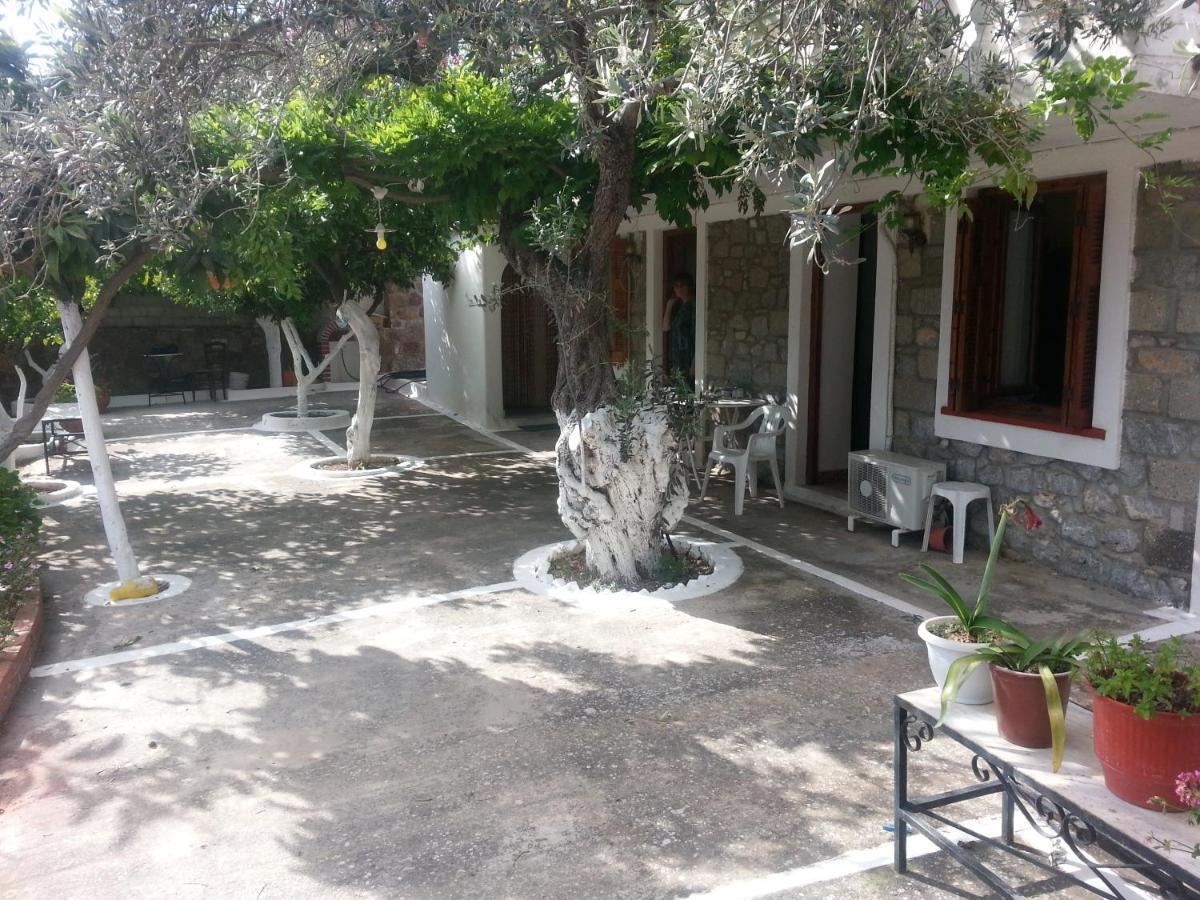 Willa Olive Trees Poros Town Zewnętrze zdjęcie